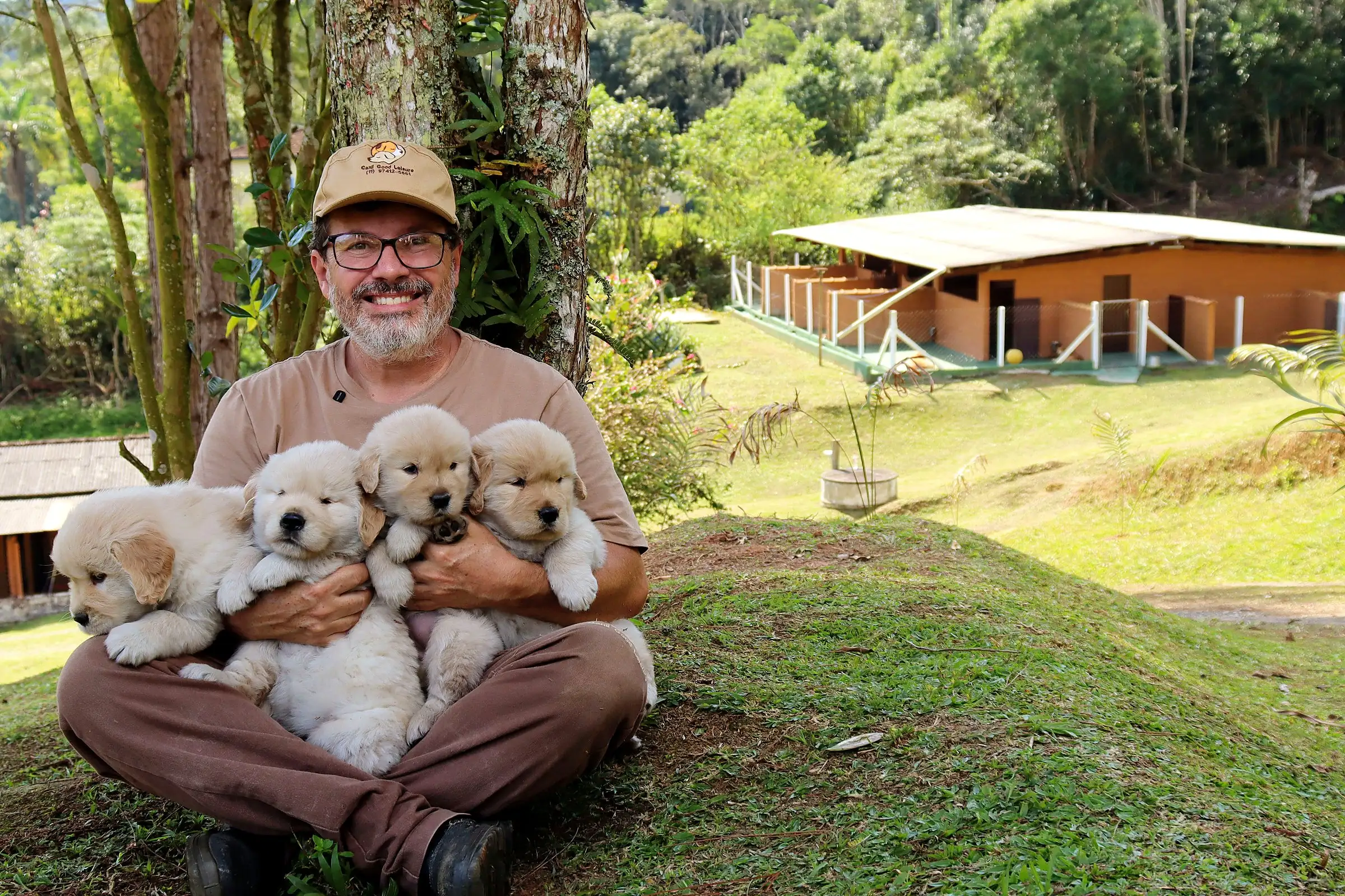 Criador sentado na grama segurando quatro filhotes de Golden Retriever, com a estrutura do canil ao fundo